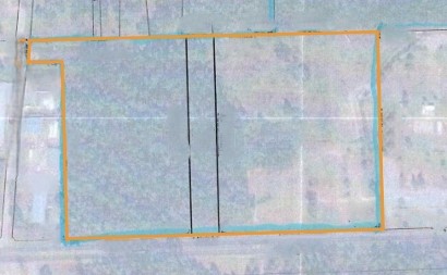 20241218-090458.jpg